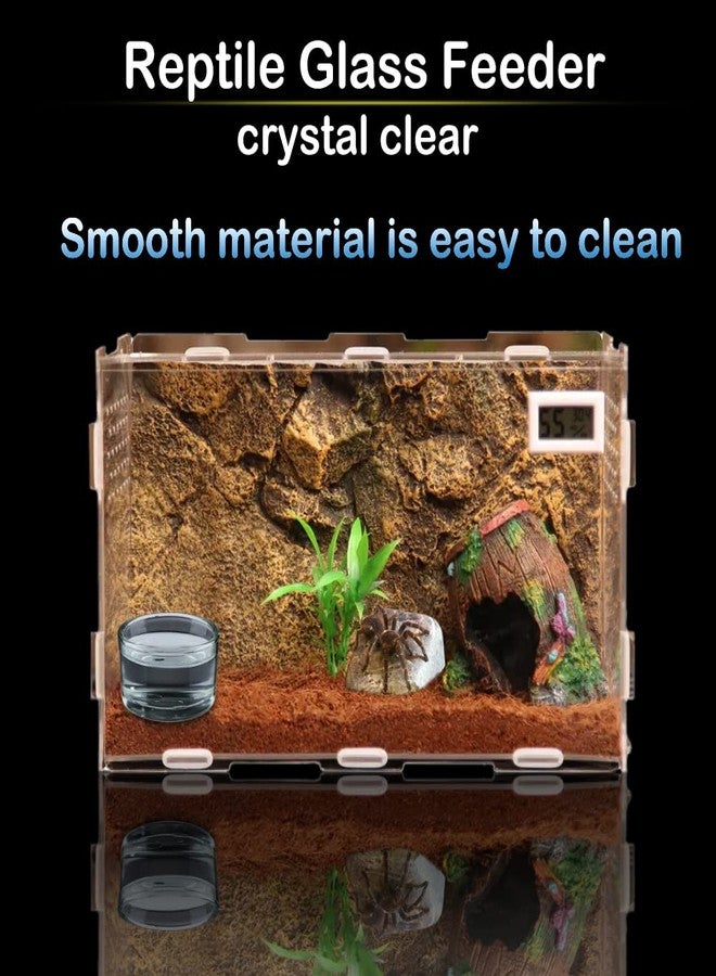 DQITJ 6 Pcs Glass Reptile Feeding Bowl Food Basin Tray Container Water Dish Cup for Small Reptile Lizard Spider Corn Snake Scorpion Centipede Crickets - Image 3